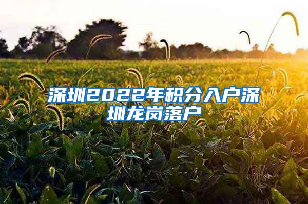 深圳2022年积分入户深圳龙岗落户
