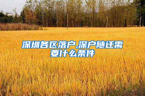 深圳各区落户,深户随迁需要什么条件