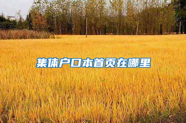 集体户口本首页在哪里