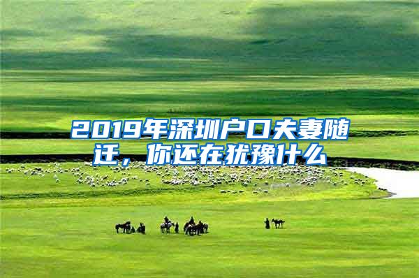 2019年深圳户口夫妻随迁，你还在犹豫什么