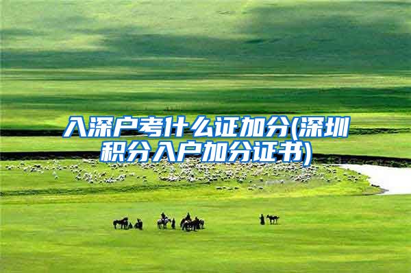 入深户考什么证加分(深圳积分入户加分证书)
