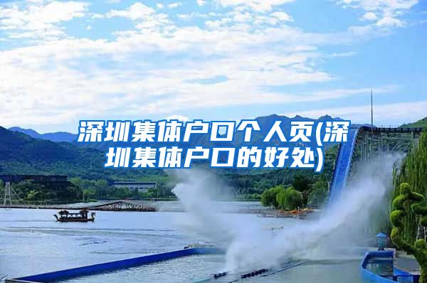 深圳集体户口个人页(深圳集体户口的好处)