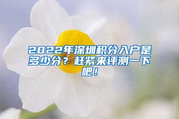 2022年深圳积分入户是多少分？赶紧来评测一下吧！