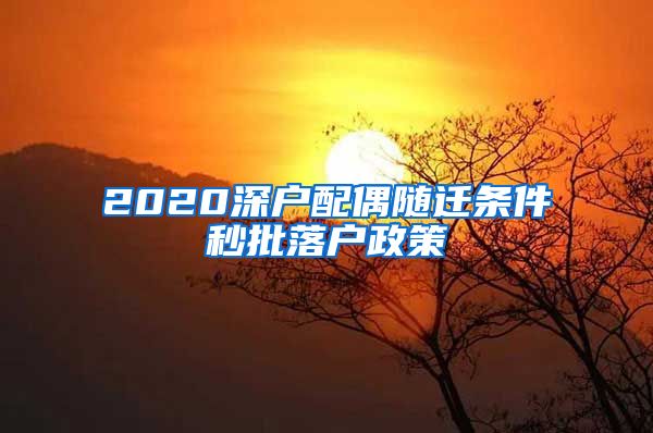 2020深户配偶随迁条件秒批落户政策