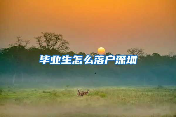 毕业生怎么落户深圳