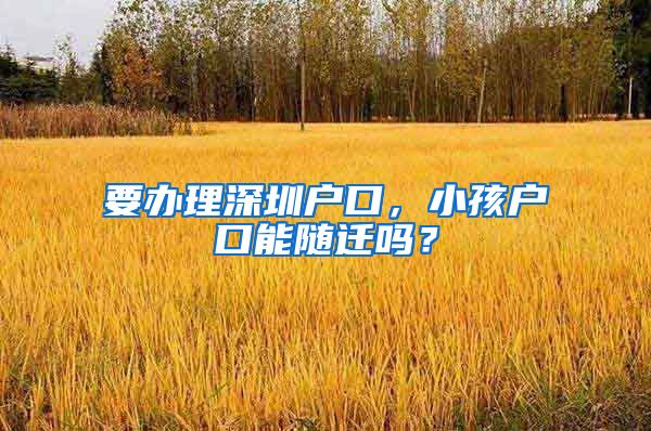 要办理深圳户口，小孩户口能随迁吗？