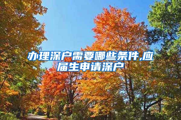 办理深户需要哪些条件,应届生申请深户