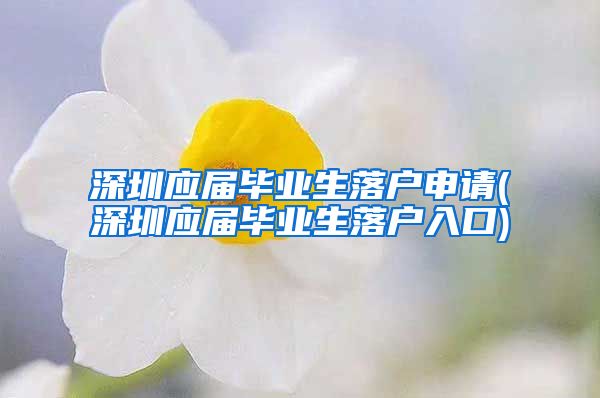 深圳应届毕业生落户申请(深圳应届毕业生落户入口)