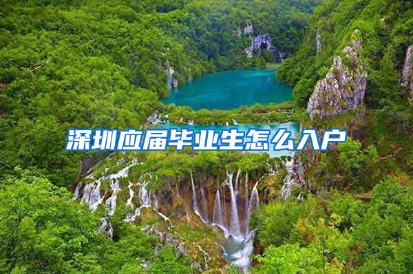 深圳应届毕业生怎么入户