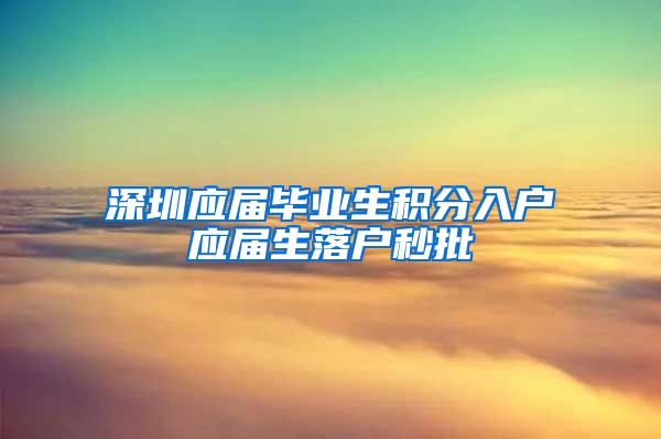 深圳应届毕业生积分入户应届生落户秒批