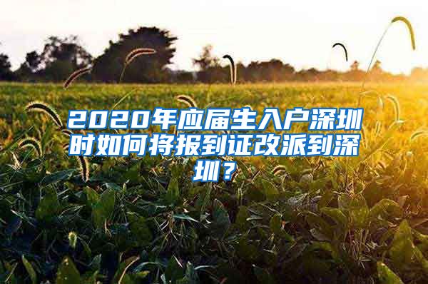 2020年应届生入户深圳时如何将报到证改派到深圳？
