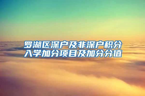 罗湖区深户及非深户积分入学加分项目及加分分值