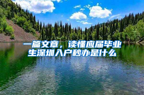 一篇文章，读懂应届毕业生深圳入户秒办是什么