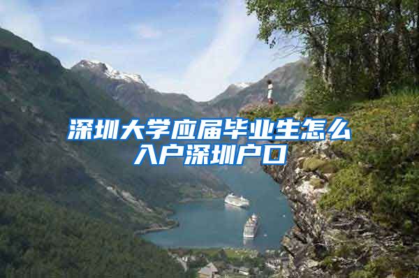 深圳大学应届毕业生怎么入户深圳户口