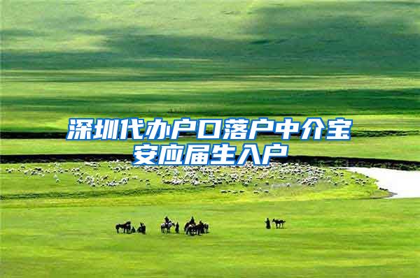 深圳代办户口落户中介宝安应届生入户