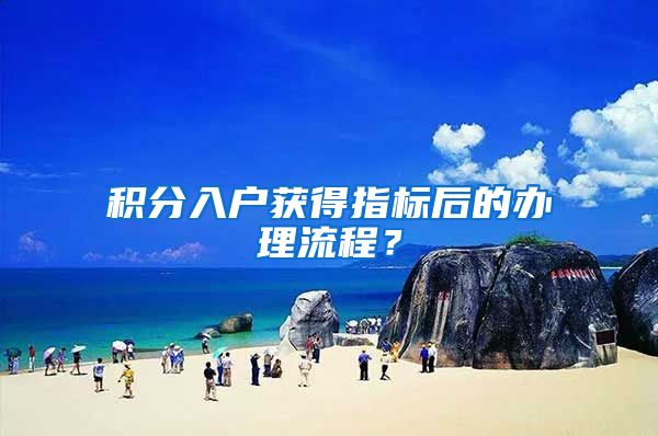 积分入户获得指标后的办理流程？