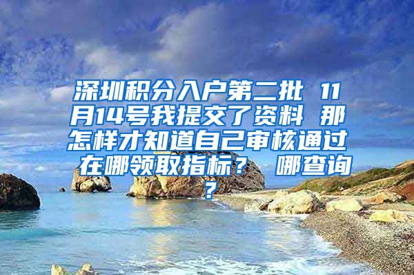 深圳积分入户第二批 11月14号我提交了资料 那怎样才知道自己审核通过 在哪领取指标？ 哪查询？