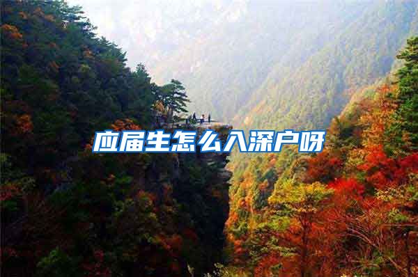 应届生怎么入深户呀