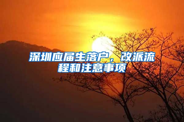 深圳应届生落户，改派流程和注意事项