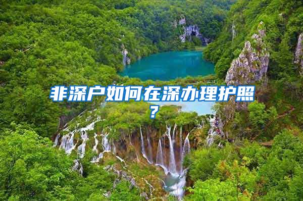 非深户如何在深办理护照？
