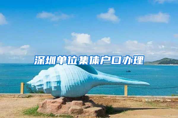 深圳单位集体户口办理