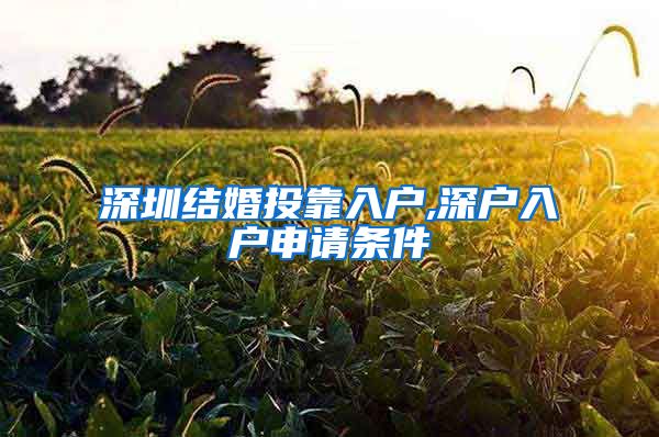 深圳结婚投靠入户,深户入户申请条件