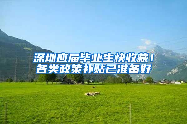 深圳应届毕业生快收藏！各类政策补贴已准备好