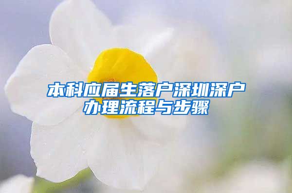 本科应届生落户深圳深户办理流程与步骤