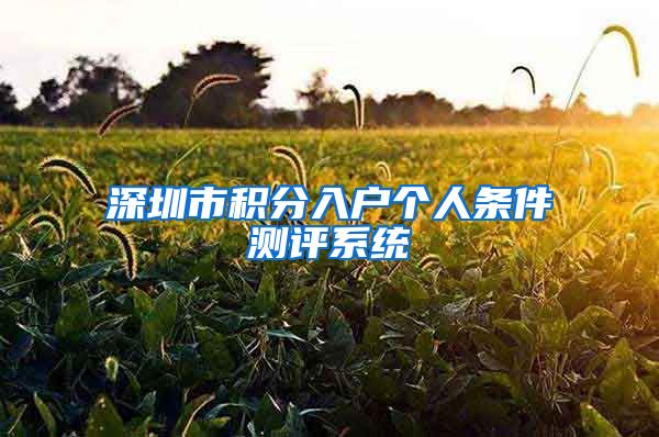深圳市积分入户个人条件测评系统