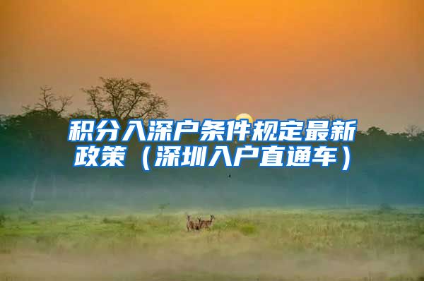积分入深户条件规定最新政策（深圳入户直通车）