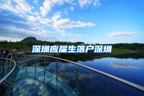 深圳应届生落户深圳