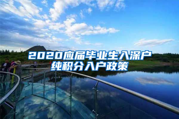 2020应届毕业生入深户纯积分入户政策