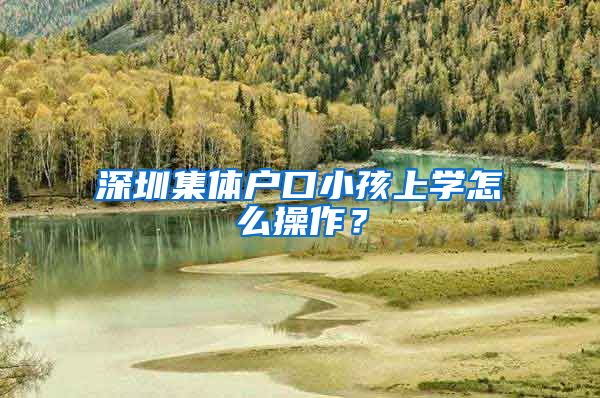 深圳集体户口小孩上学怎么操作？