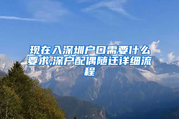 现在入深圳户口需要什么要求,深户配偶随迁详细流程