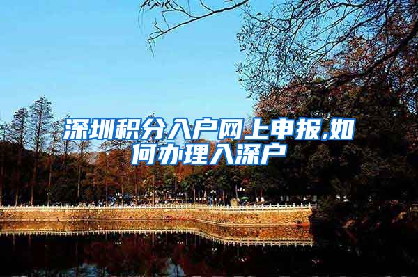 深圳积分入户网上申报,如何办理入深户
