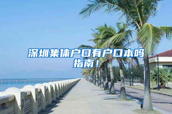 深圳集体户口有户口本吗指南！