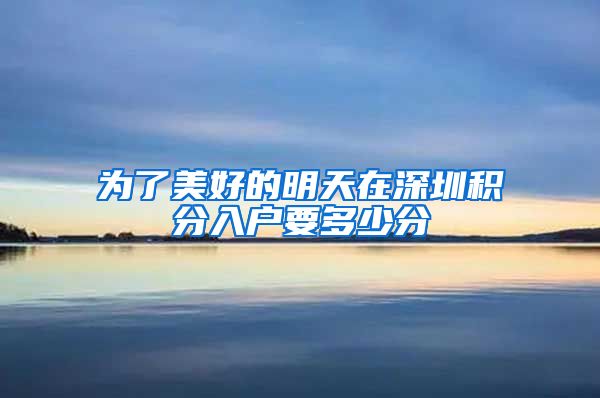 为了美好的明天在深圳积分入户要多少分