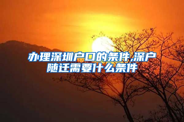 办理深圳户口的条件,深户随迁需要什么条件