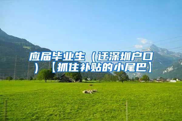 应届毕业生（迁深圳户口）【抓住补贴的小尾巴】