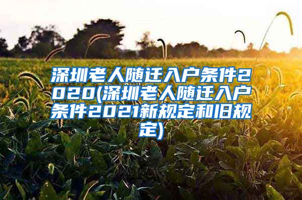 深圳老人随迁入户条件2020(深圳老人随迁入户条件2021新规定和旧规定)