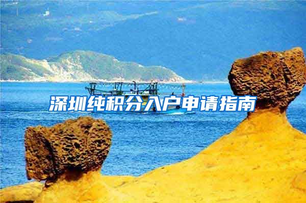 深圳纯积分入户申请指南