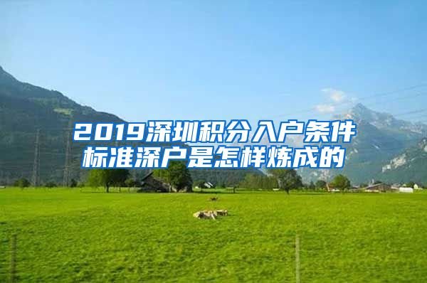 2019深圳积分入户条件标准深户是怎样炼成的
