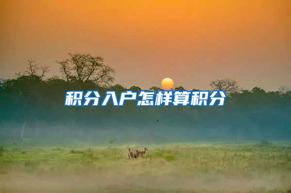 积分入户怎样算积分