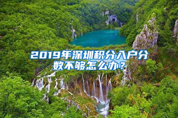 2019年深圳积分入户分数不够怎么办？