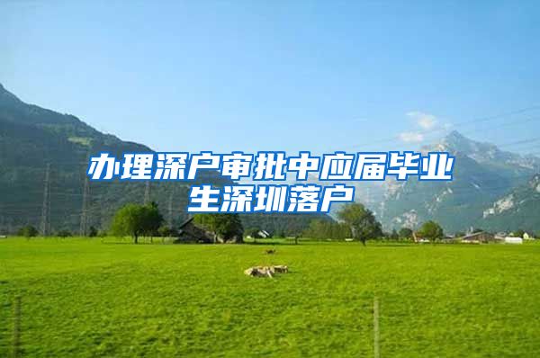 办理深户审批中应届毕业生深圳落户
