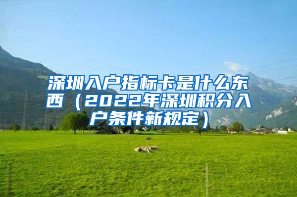 深圳入户指标卡是什么东西（2022年深圳积分入户条件新规定）