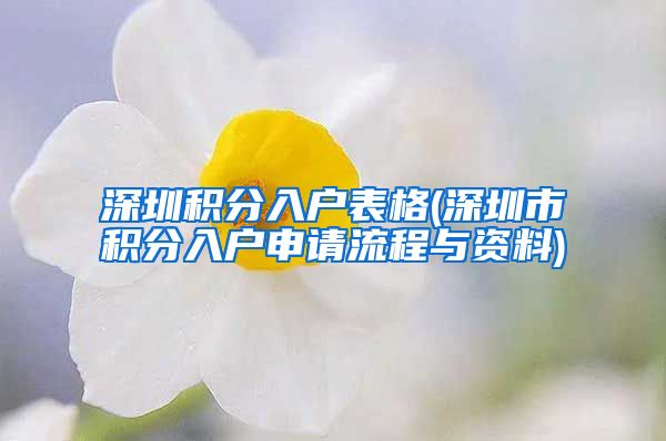 深圳积分入户表格(深圳市积分入户申请流程与资料)