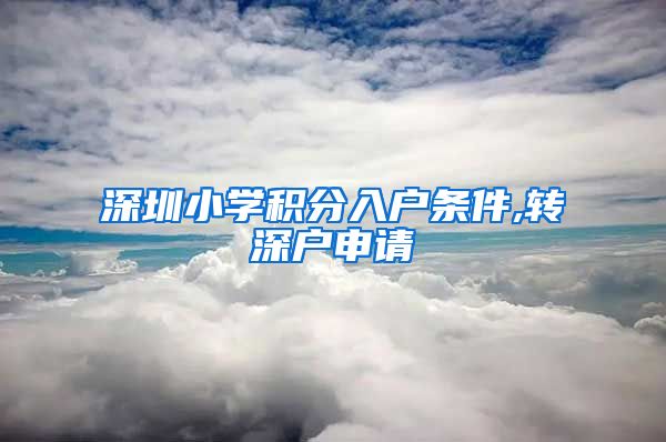 深圳小学积分入户条件,转深户申请