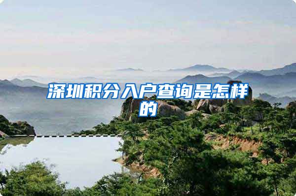 深圳积分入户查询是怎样的