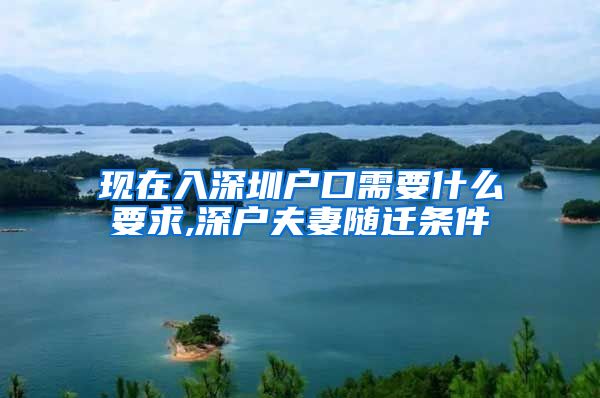 现在入深圳户口需要什么要求,深户夫妻随迁条件